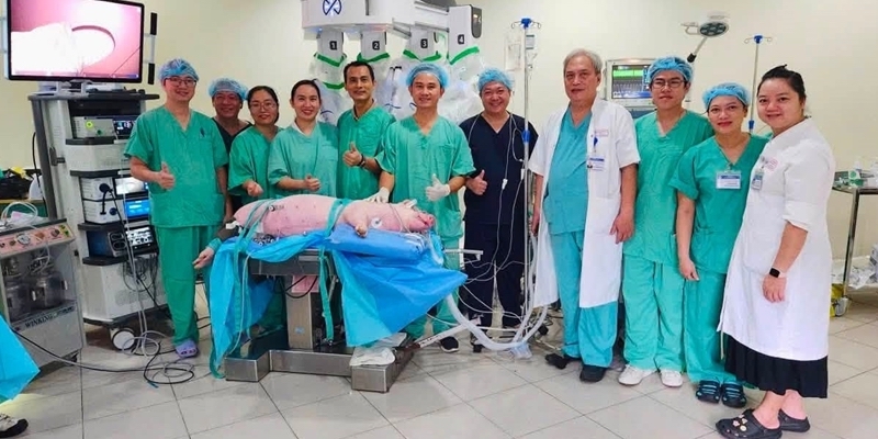 Automated surgical robotic arm tested on animal model