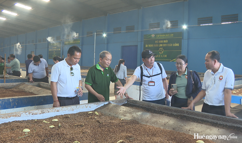 Sharing experience on organic farming with Lao delegation