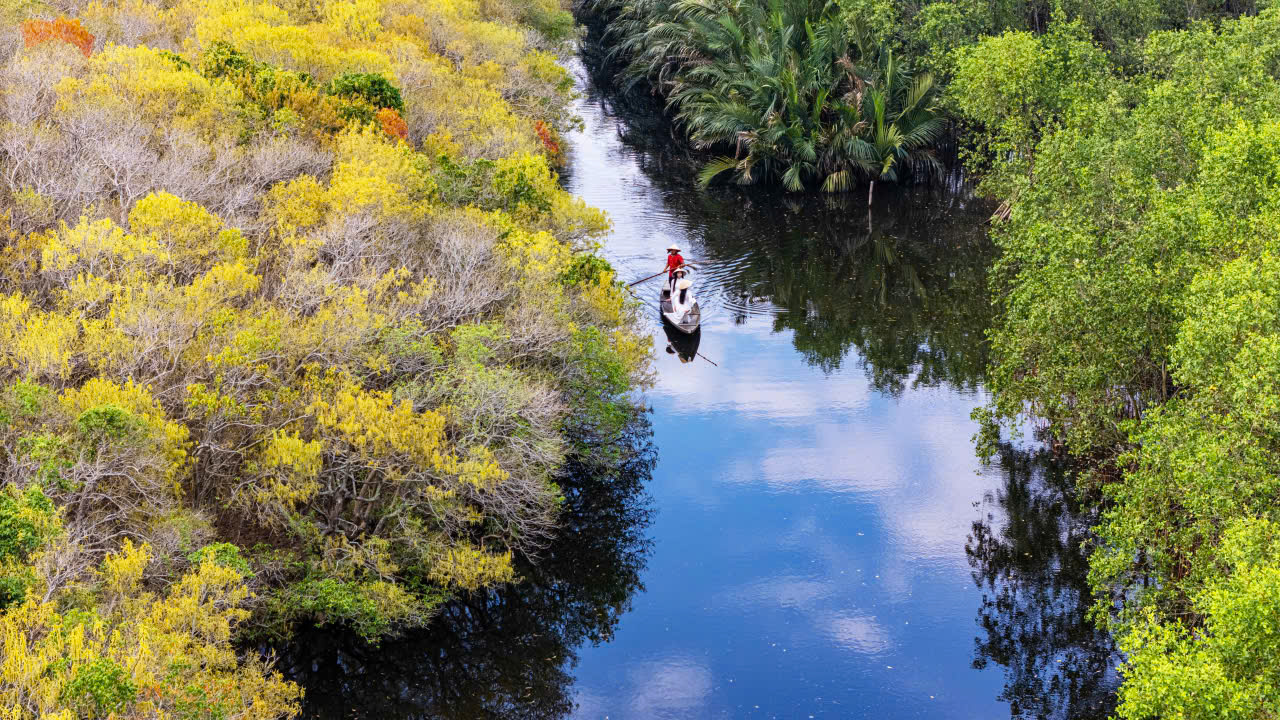 Awaking the “Green Gem” Amid the Lagoon