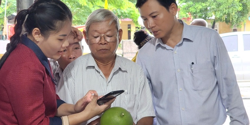 Promoting Hue thanh tra pomelo brand