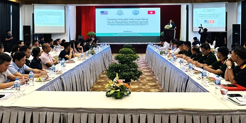 Coordinating mine action efforts in Hue