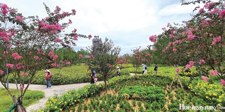 Crape Myrtle on the Great Urn