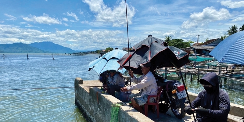 “Hunting” rabbitfish beneath Tu Hien Bridge