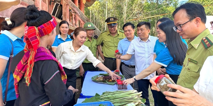 Developing sustainable livelihoods while protecting forests and preserving indigenous culture