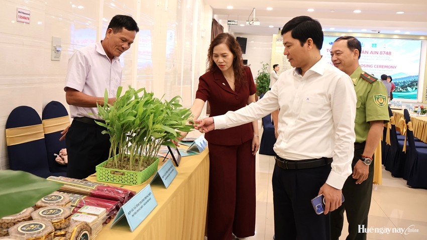 Enhancing the Value of Plantation Forests Through Sustainable Forest Management
