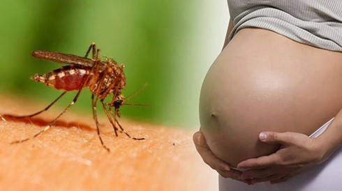 phòng chống zika tại đồng nai sau khi có ca nhiễm đầu tiên hình 1 phong chong zika tai dong nai sau khi co ca nhiem dau tien hinh 1