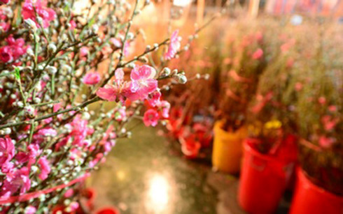 nhung dieu thu vi ve tet am lich hinh 2