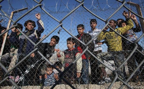 eu manh tay truc xuat nguoi nhap cu trai phep hinh 1