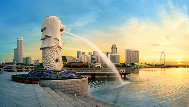 ly quang dieu dep via he bat nhao o singapore the nao? hinh anh 2