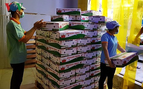 xuat khau rau qua uoc dat 1,7 ty usd trong 5 thang hinh 1