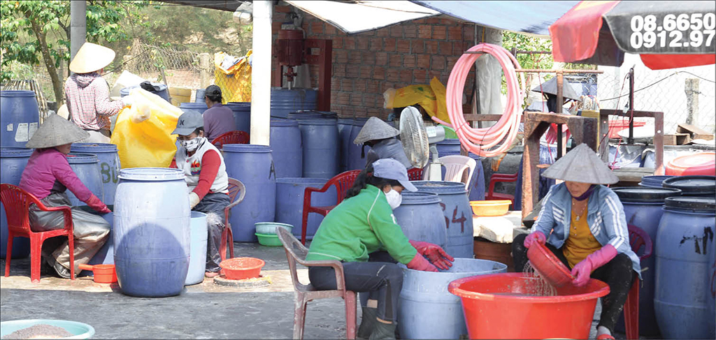 A traditional fish sauce production area 