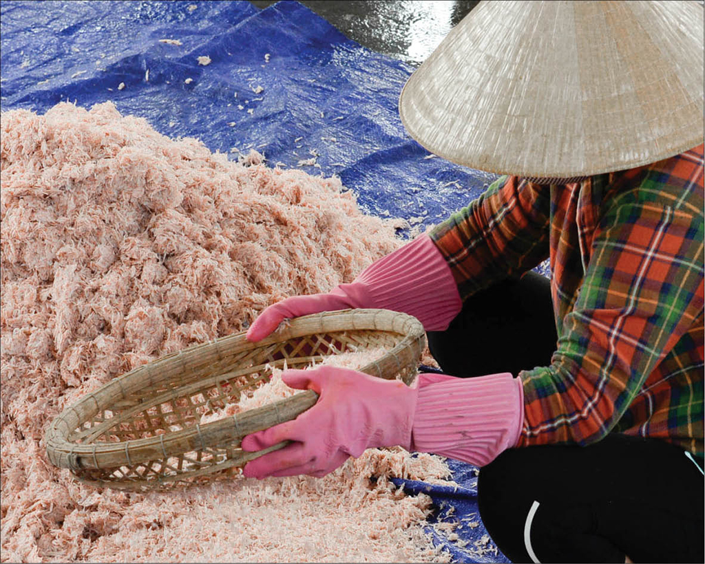 Cleaning ingredients before fermenting  