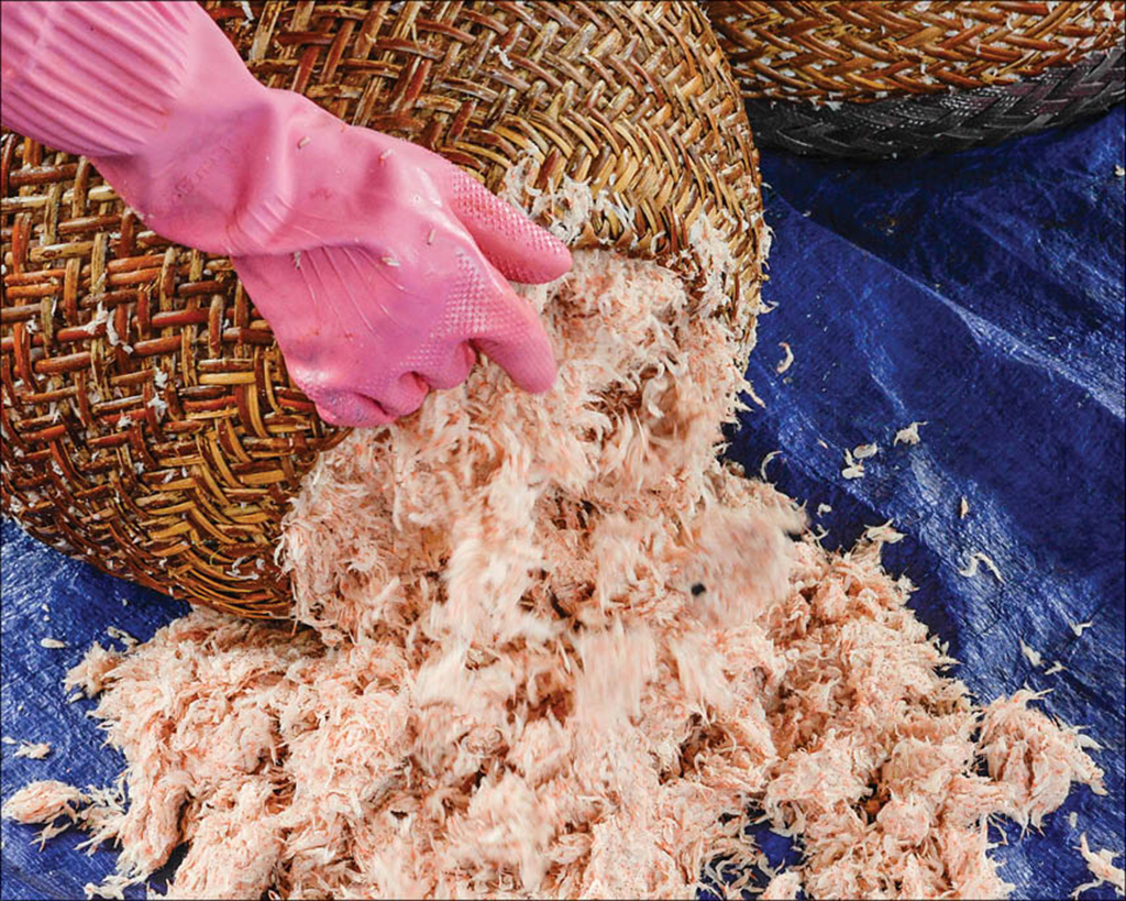 Pressed tiny shrimps are ready to be fermented 