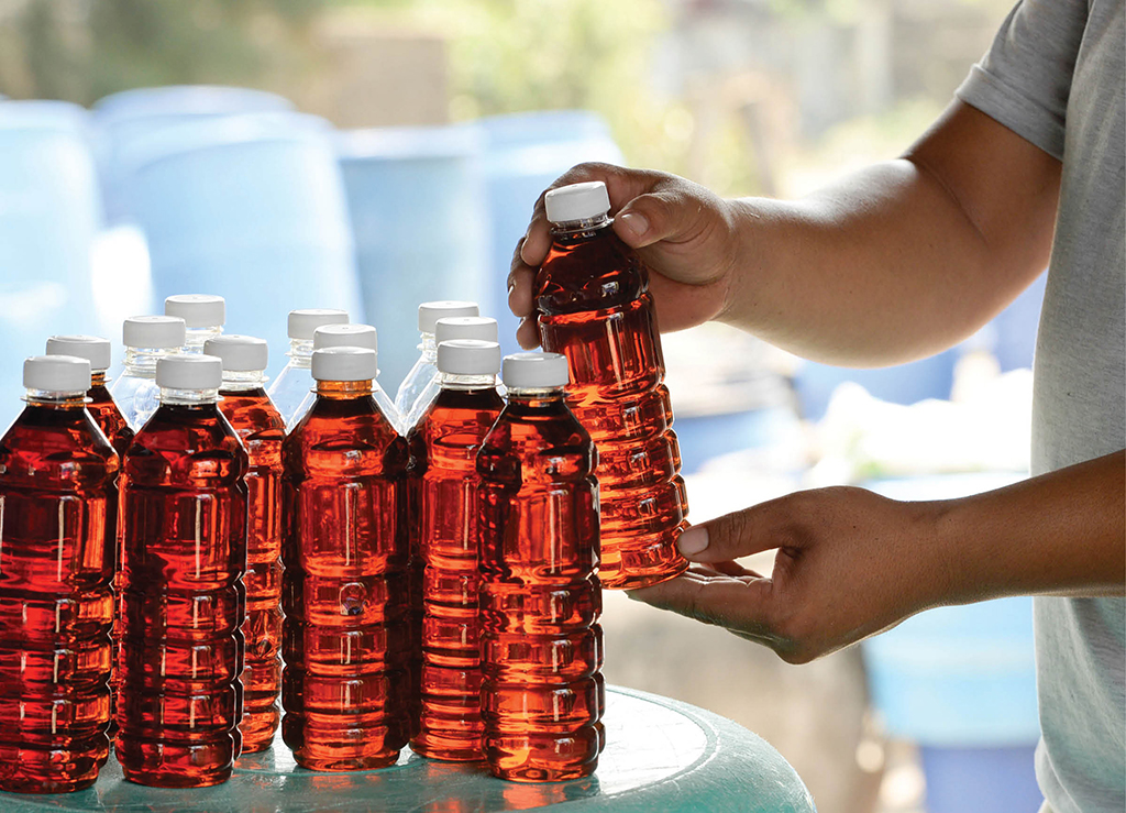 Traditional fish sauce
