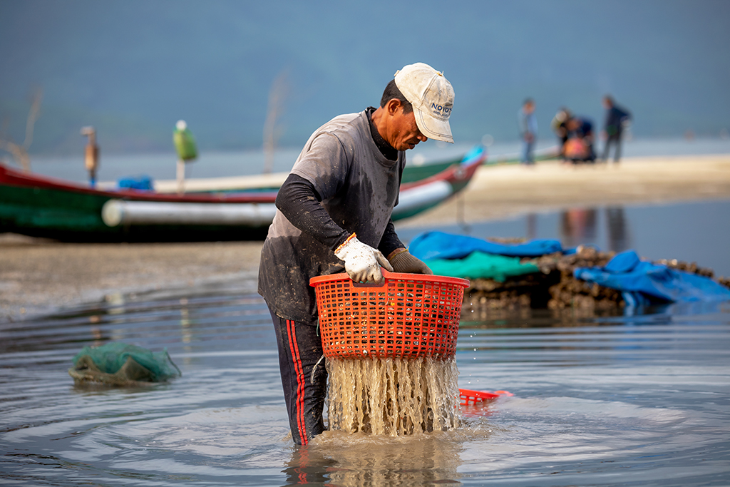 Rửa qua nước cho sạch