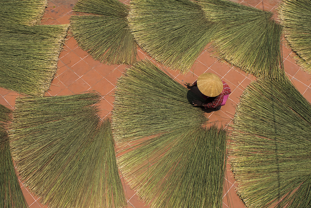 Đệm bàng Phò Trạch đã  sẵn sàng nguồn nguyên liệu