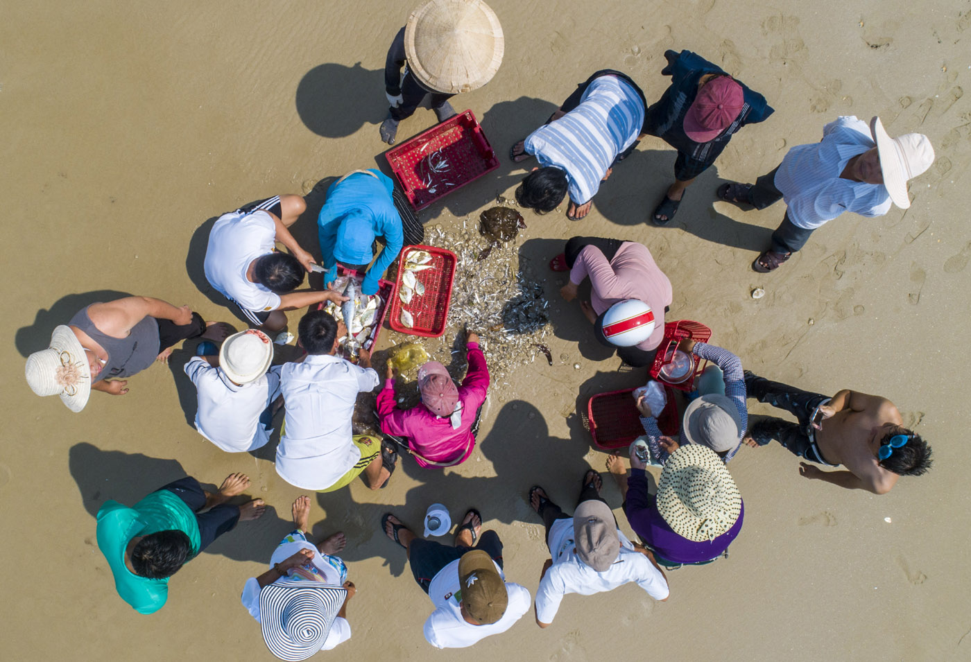 Local people and tourists buying seafood right after the nets are just drawn up