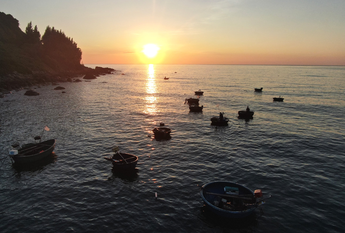 Squid fishing boats return at dawn