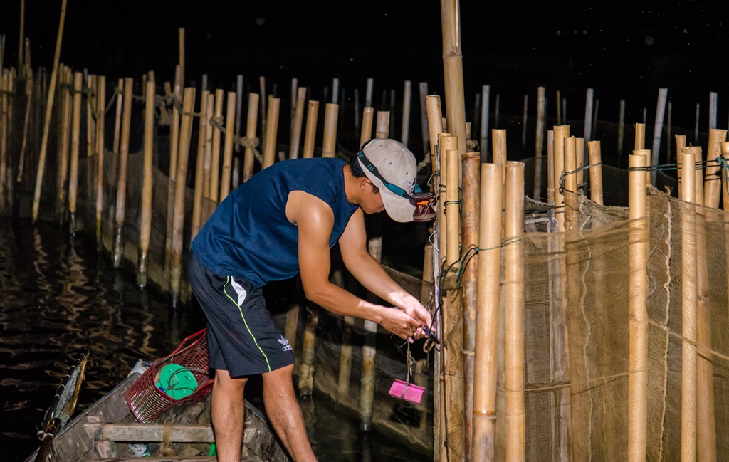 Để đảm bảo không bị trộm