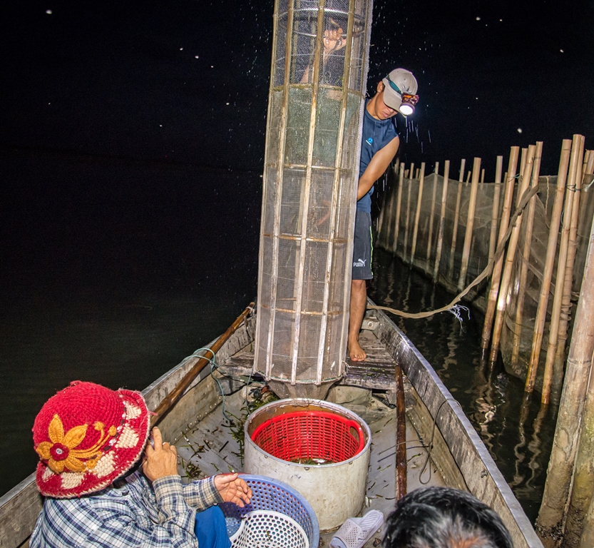 Hồi hộp chờ thành quả​