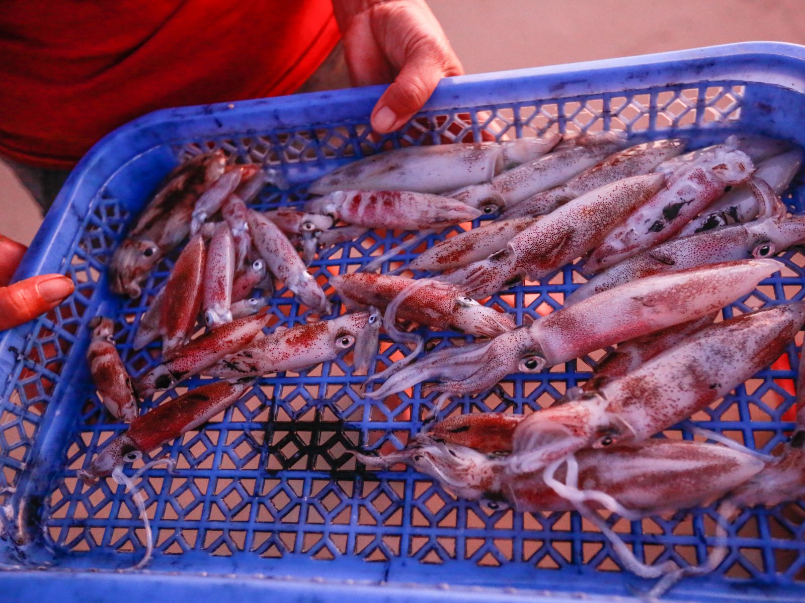Mr. Tam's products after his voyage