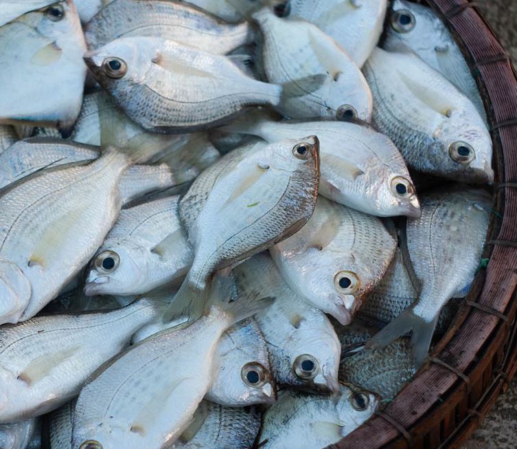 Sản vật phong phú, đa dạng