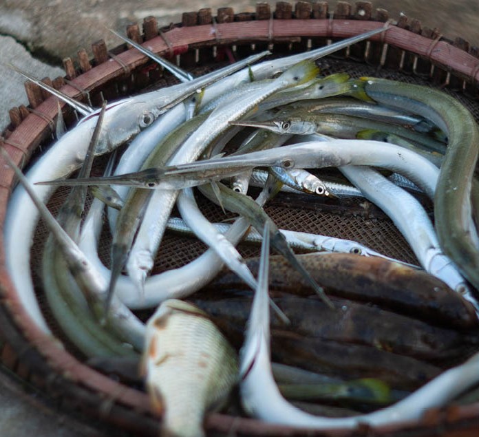 Sản vật phong phú, đa dạng