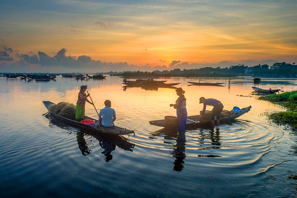 Thương lái thu mua hải sản ngay trên đầm, khi ngư dân vừa cập bờ 