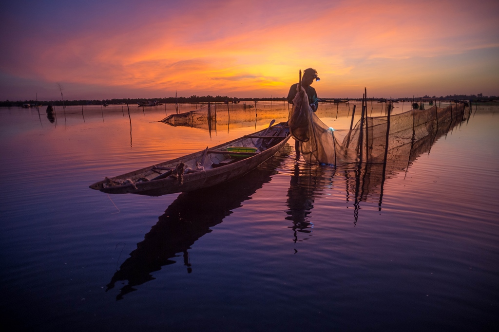 Mẻ lưới sớm,  từ khi mặt trời còn chưa  xuất hiện