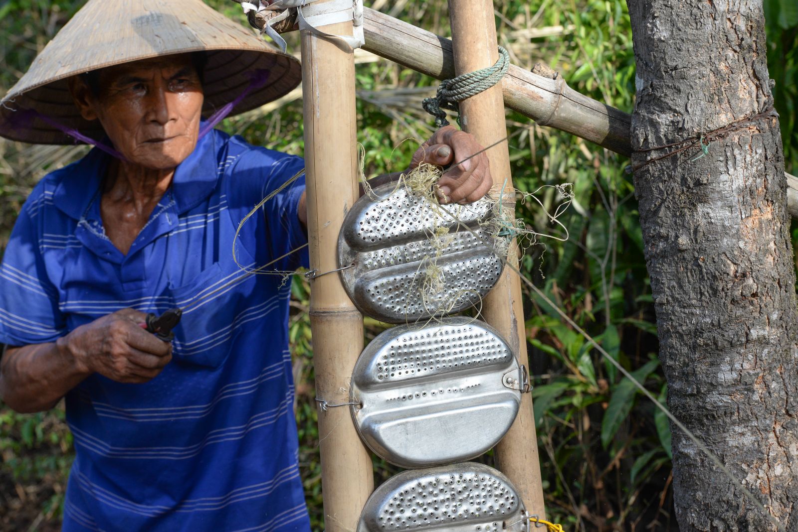 Splitting and polishing “lồ ô” (bambusa balcooa) to make the hat brims