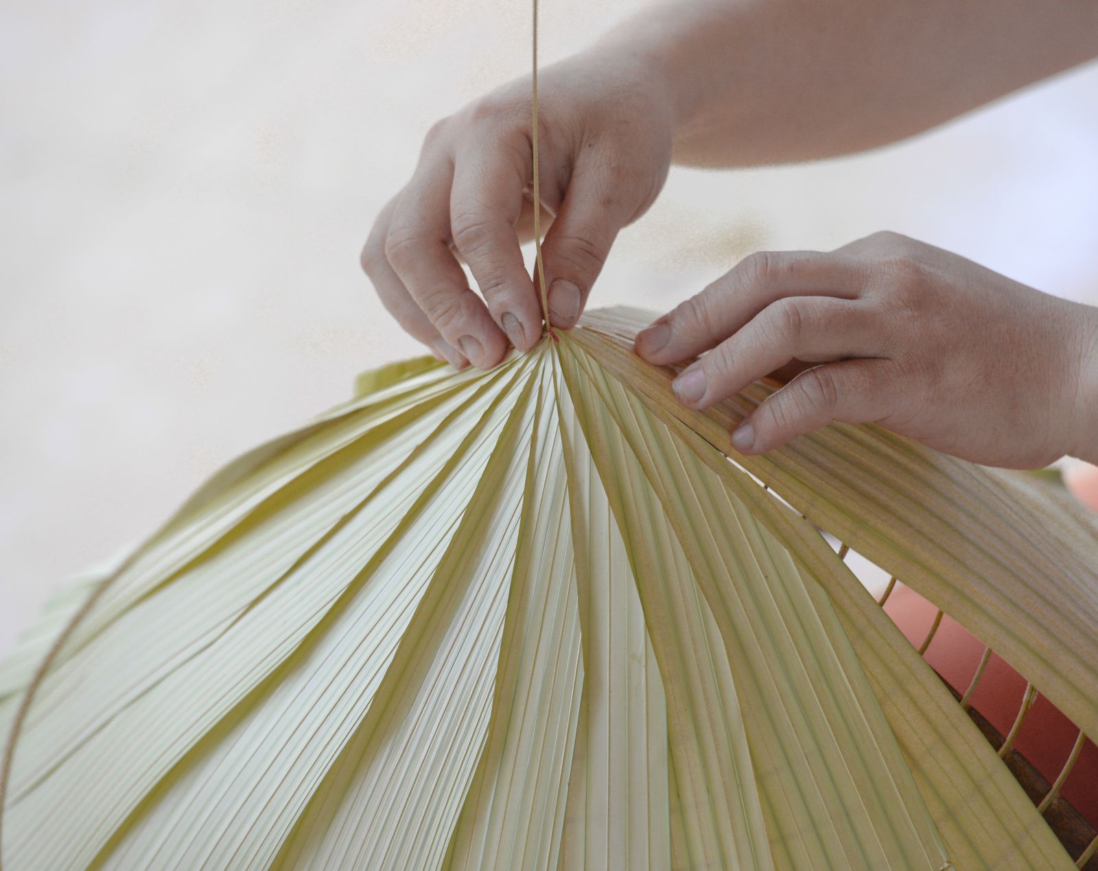 Roofing and circling the leaves on the frame