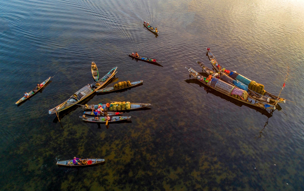 A bustling new day in the lagoon