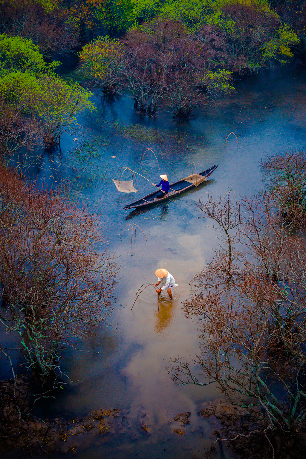 Currently, Ru Cha mangrove forest has been the favorite destination of many photographers