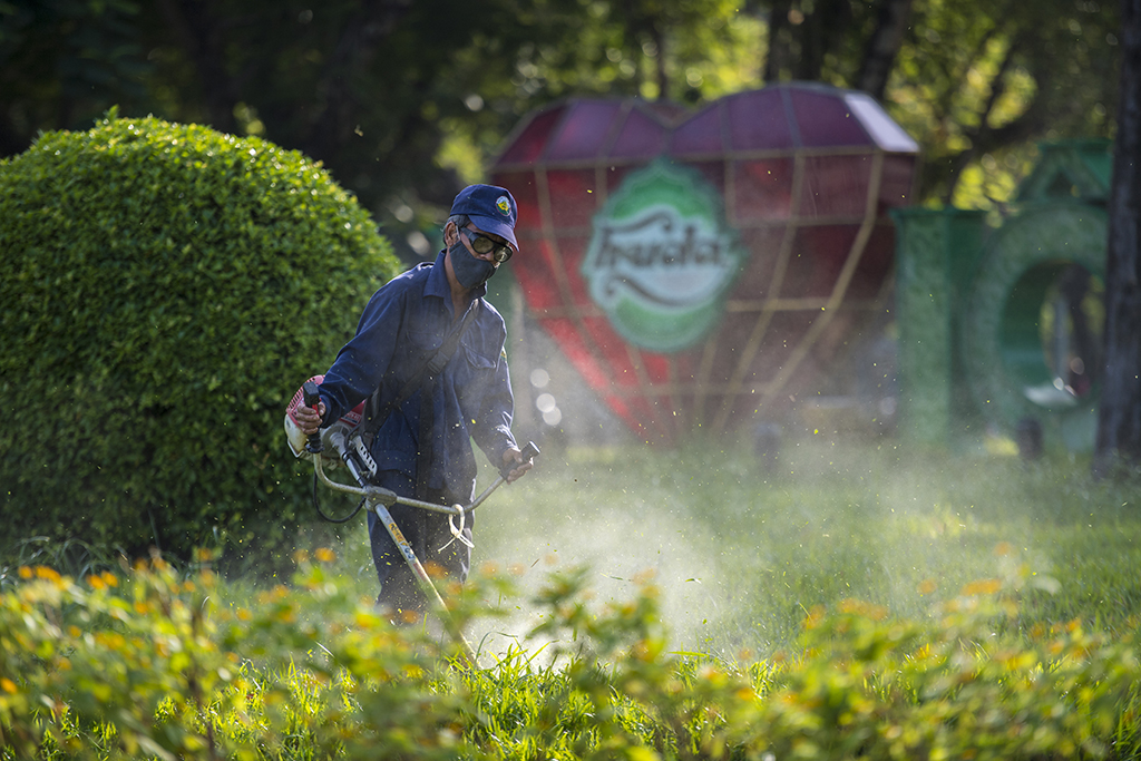 Mowing grass in the park