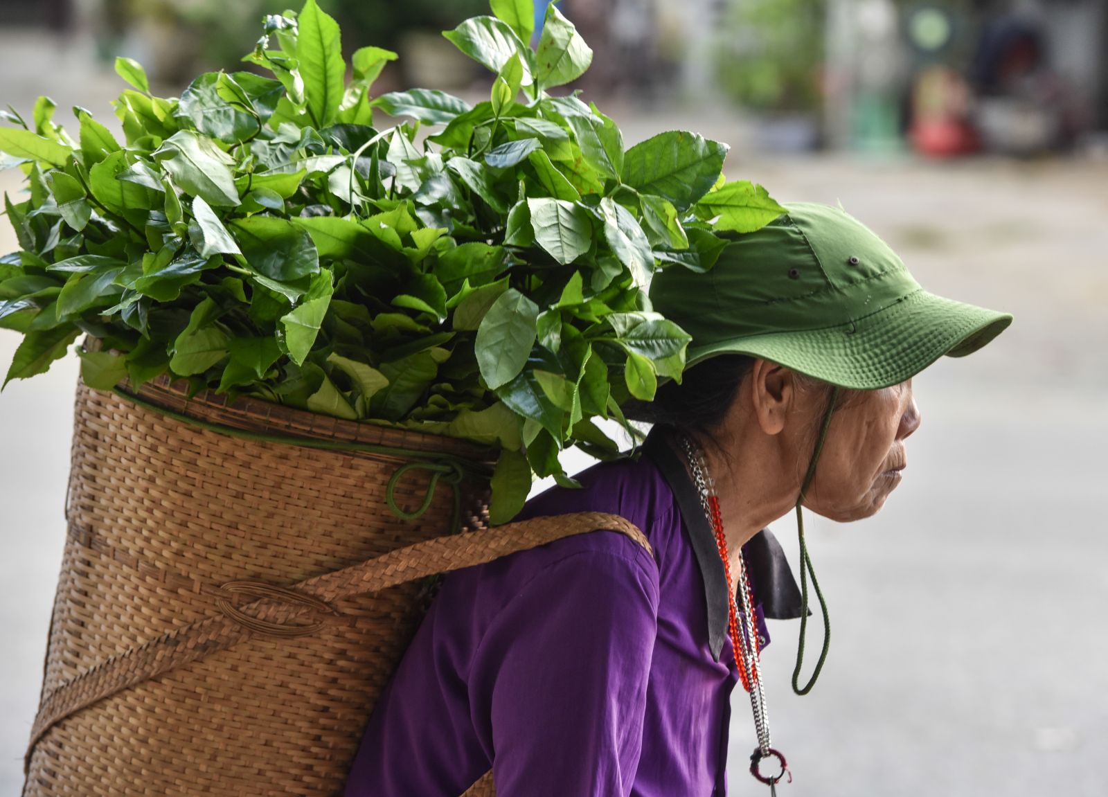 Gùi always accompanies the people in the highlands