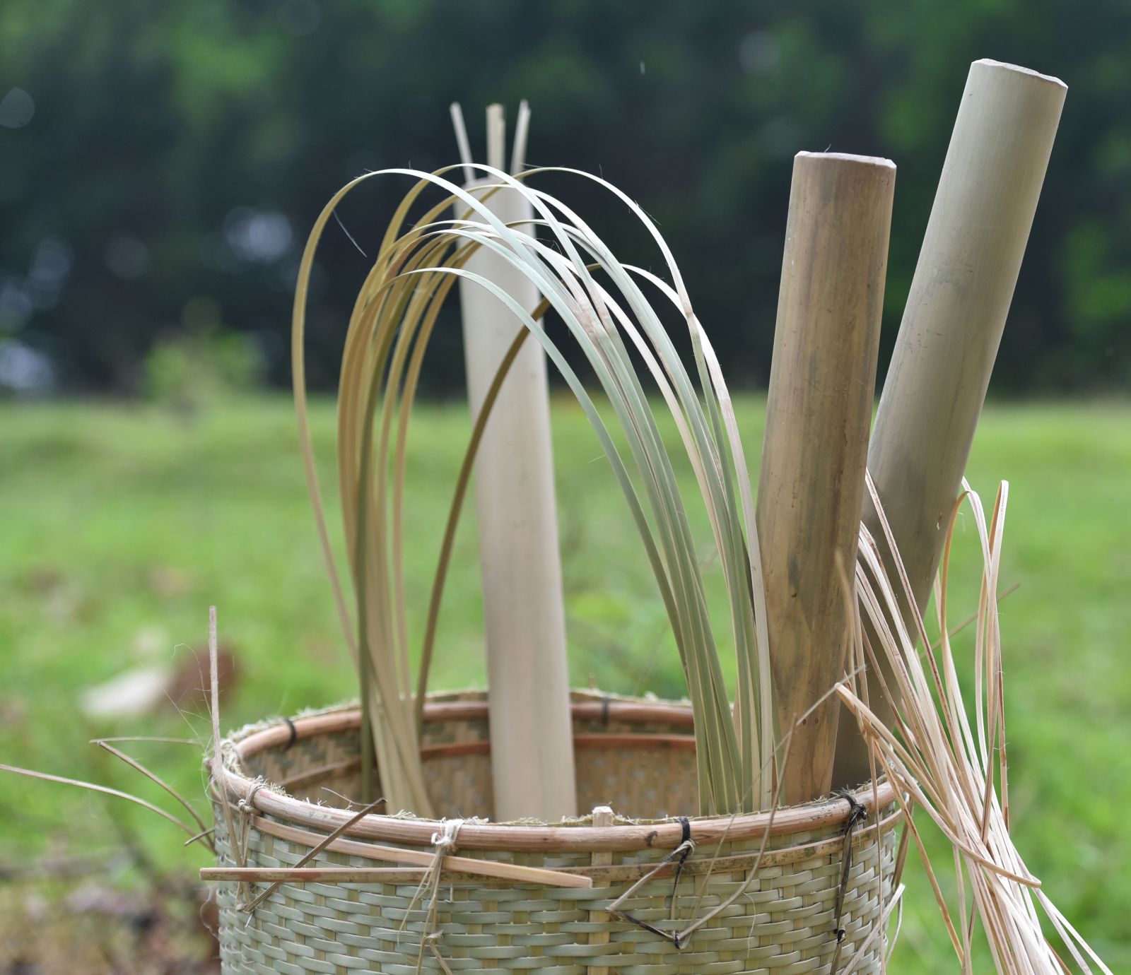 Rattan is the material that makes up strong baskets