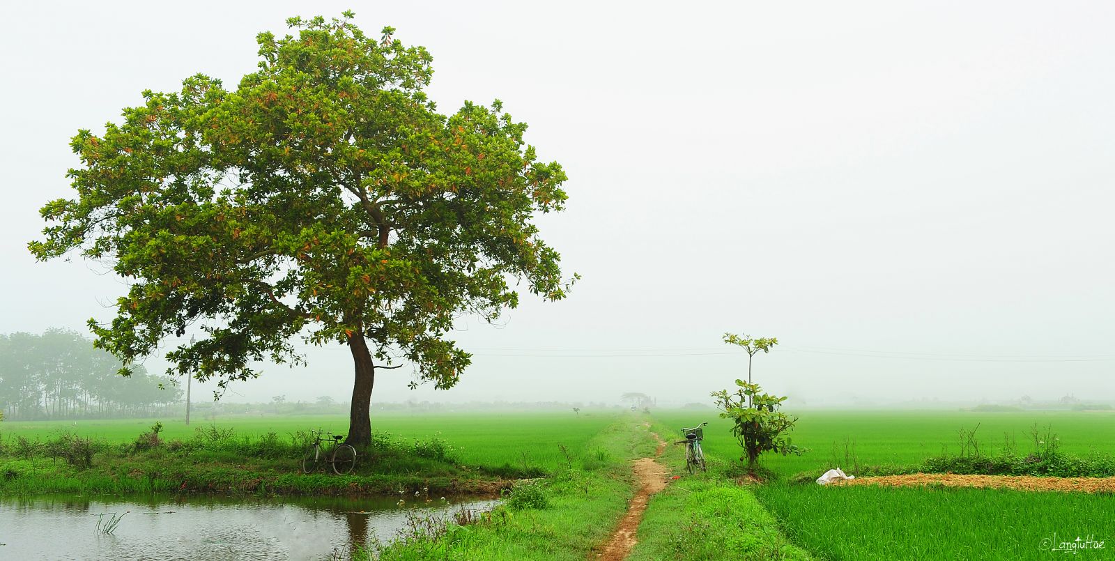 A peaceful autumn picture of a rural countryside