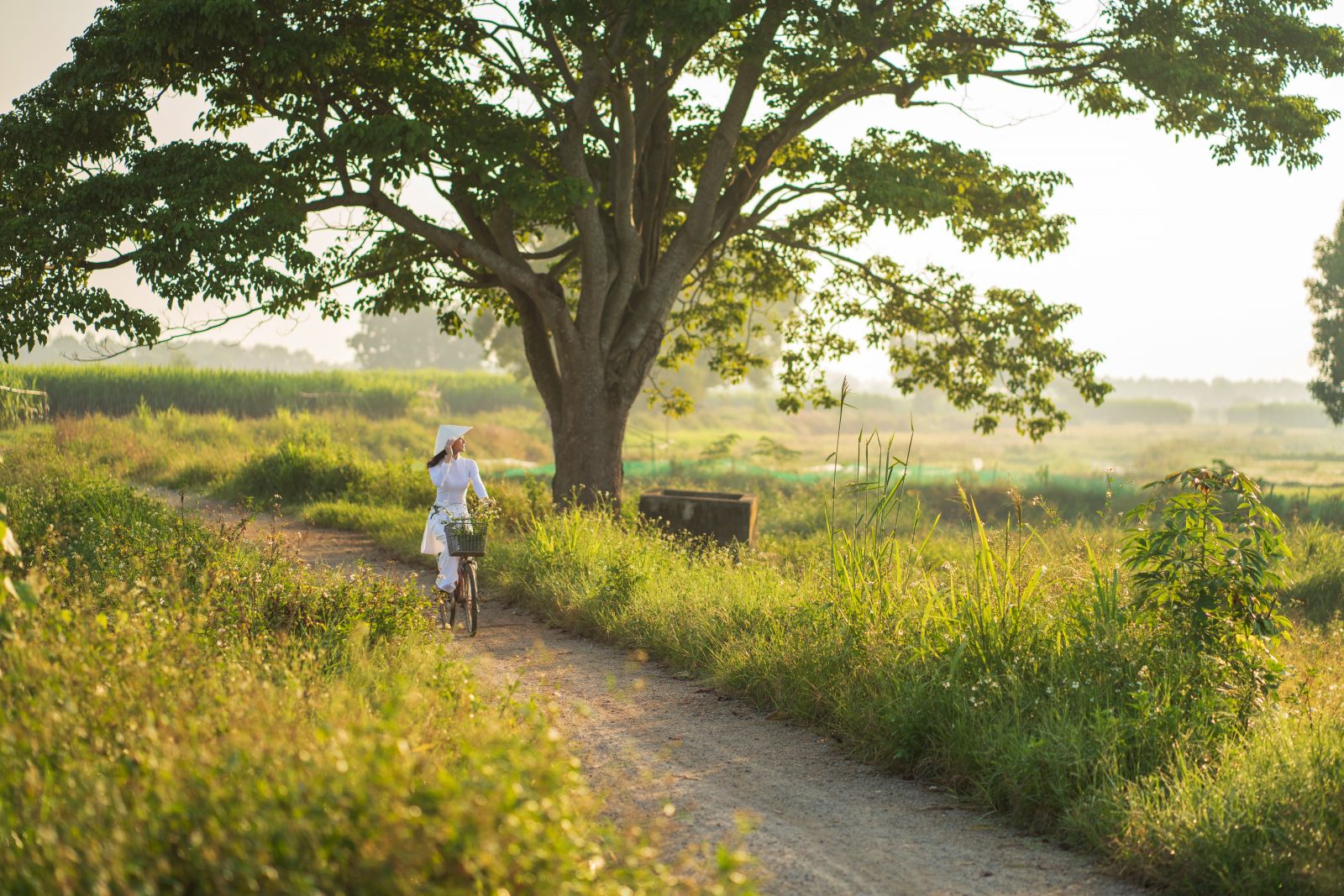 Early mornings in the countryside - dreamy Hue in autumn