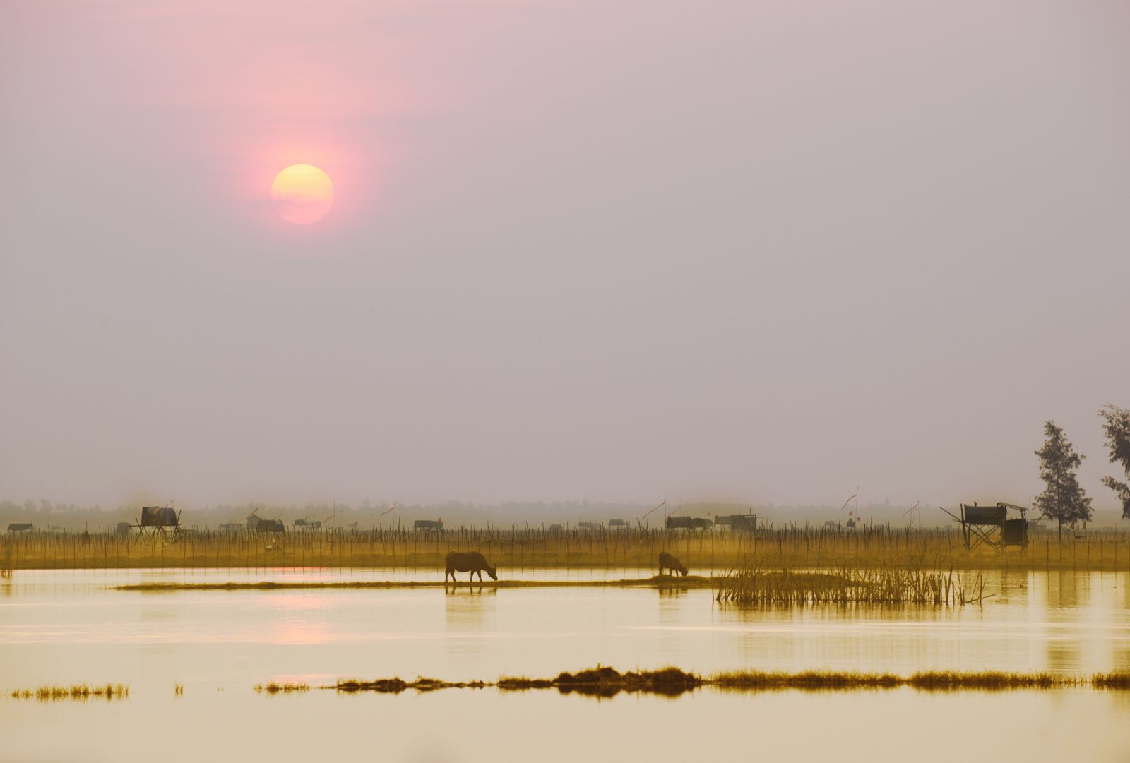 The sun rising in autumn is also soft and surprisingly peaceful, Autumn dawn in Chuon lagoon