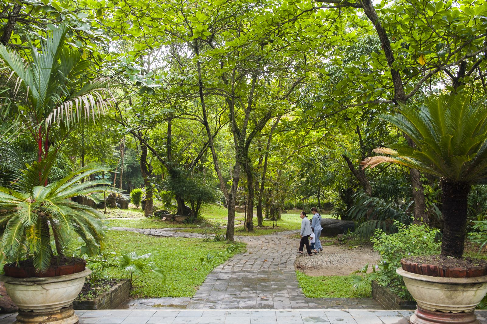 Walking around the green space of the pagoda
