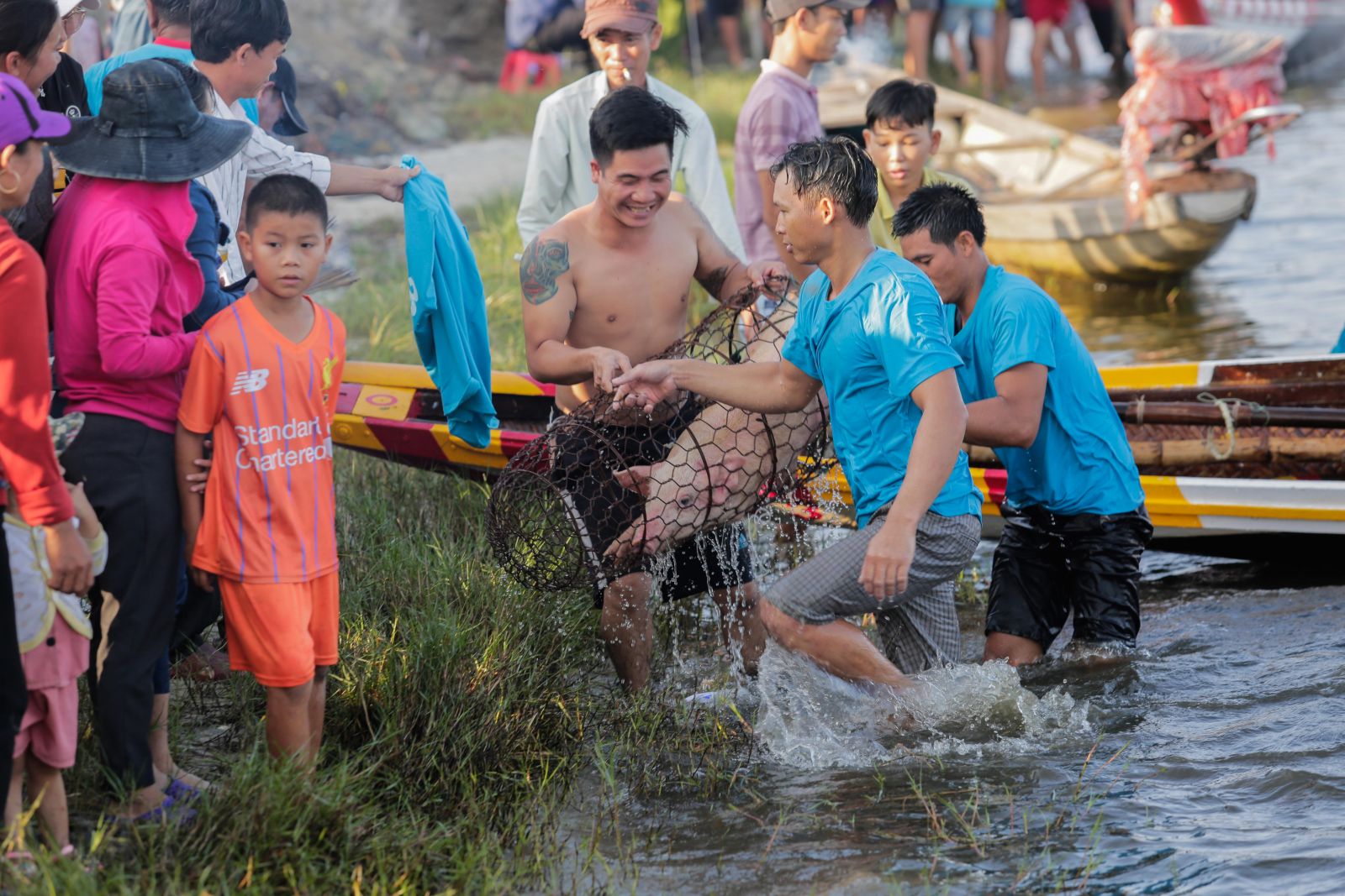 The reward is a 30kg pig