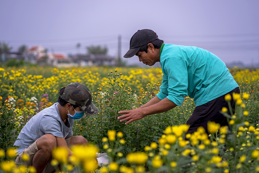 Nursing every flower plant to get the most beautiful ones