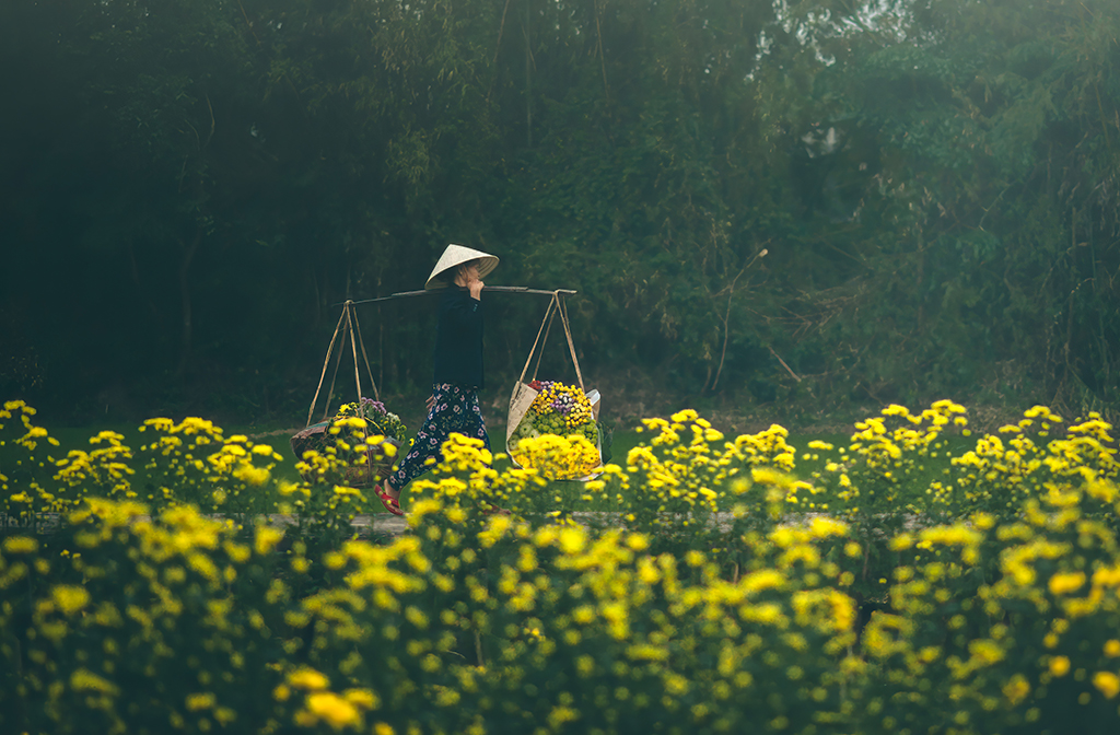 Nursing every flower plant to get the most beautiful ones