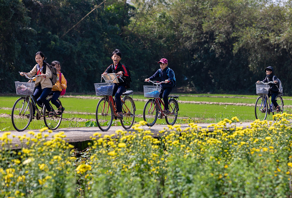 The road is full of flowers