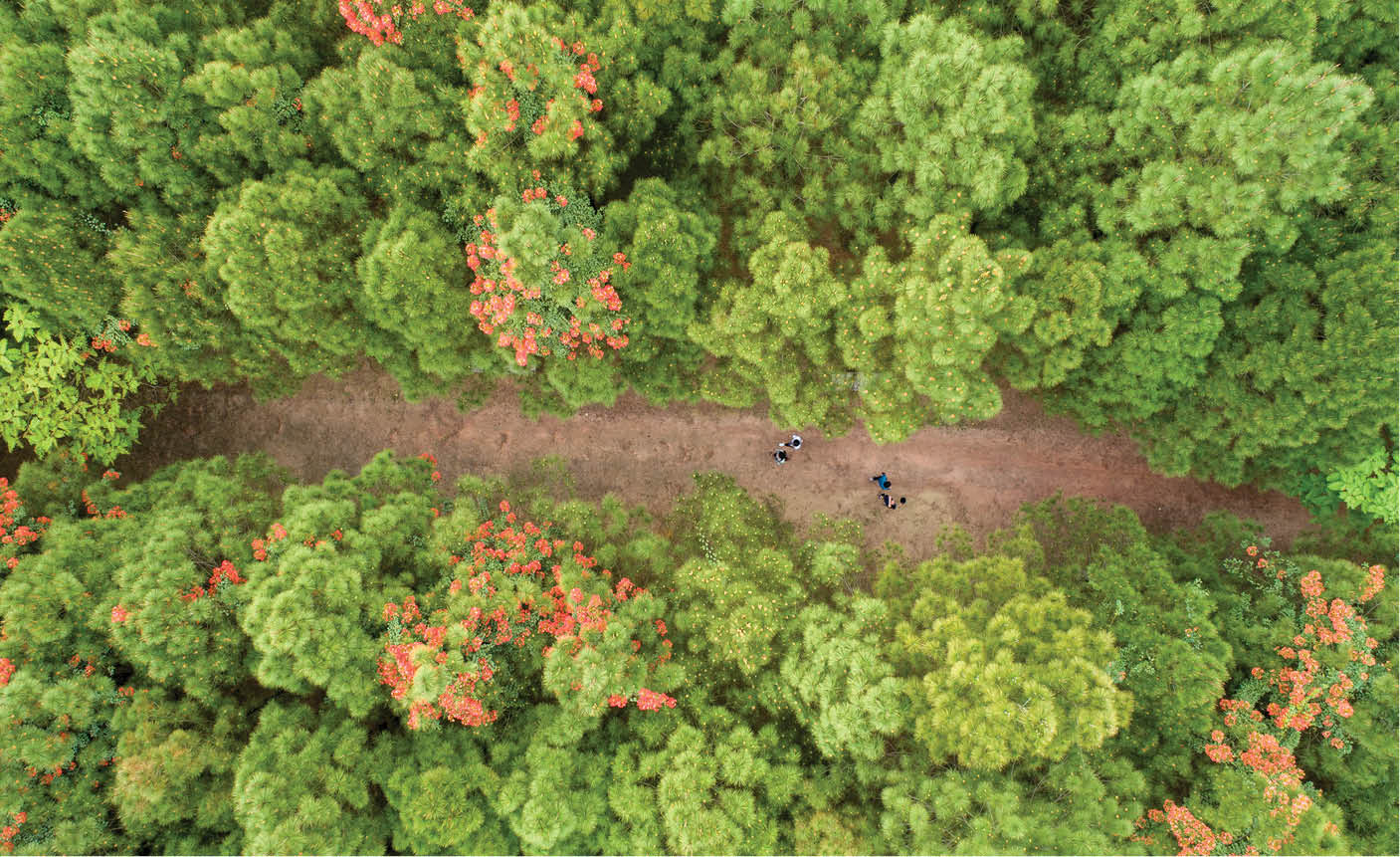 Vọng Cảnh vào phim trong cảnh Ngạn đi chơi cùng Hà Lan