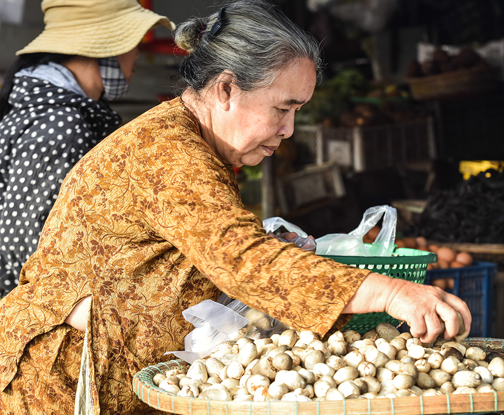Straw mushrooms are sold all year round in the market in the local area