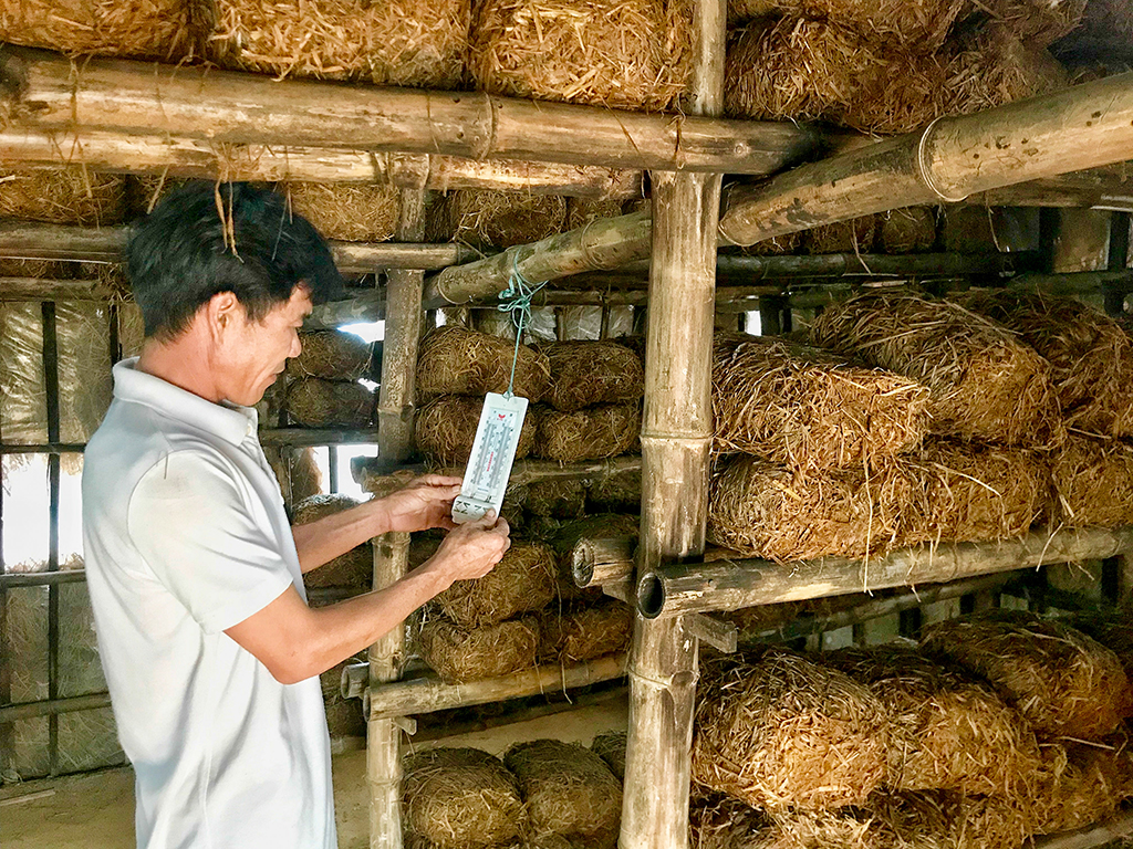 Monitoring the temperature frequently to reach the prompt adjustment 