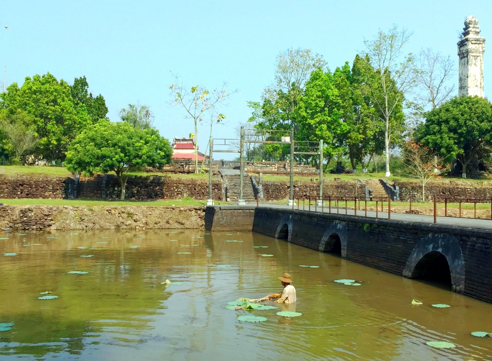 Planting lotus at the tomb of King Thieu Tri