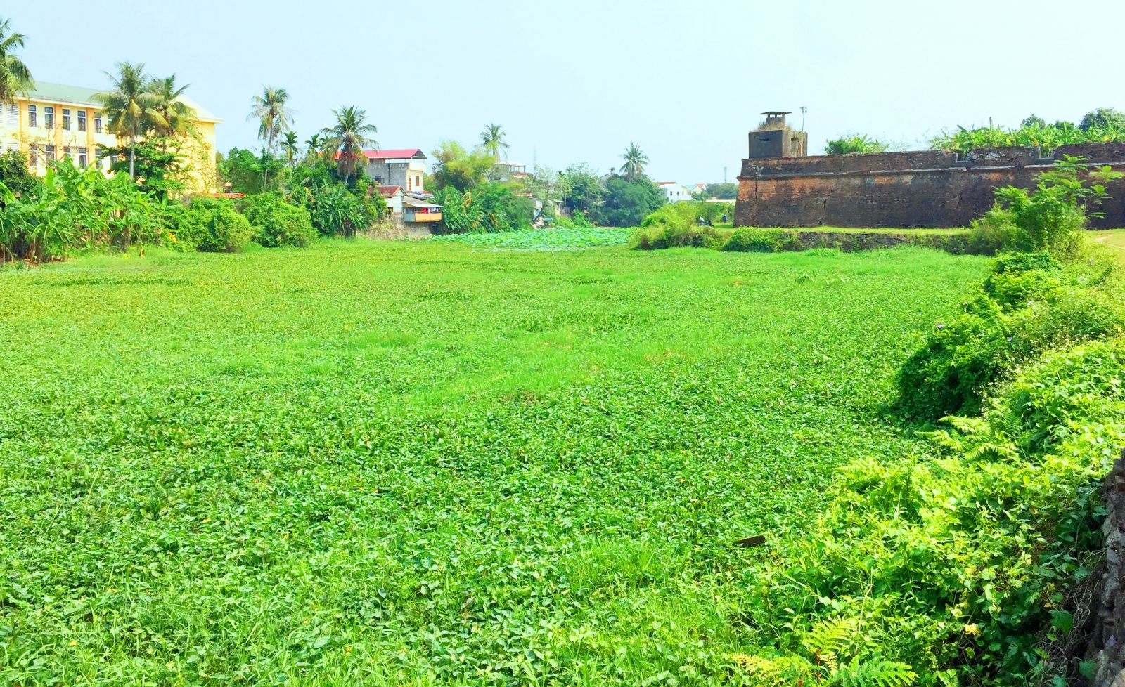 The Ngu Ha section in front of An Hoa gate was previously covered with water-fern and water spinach
