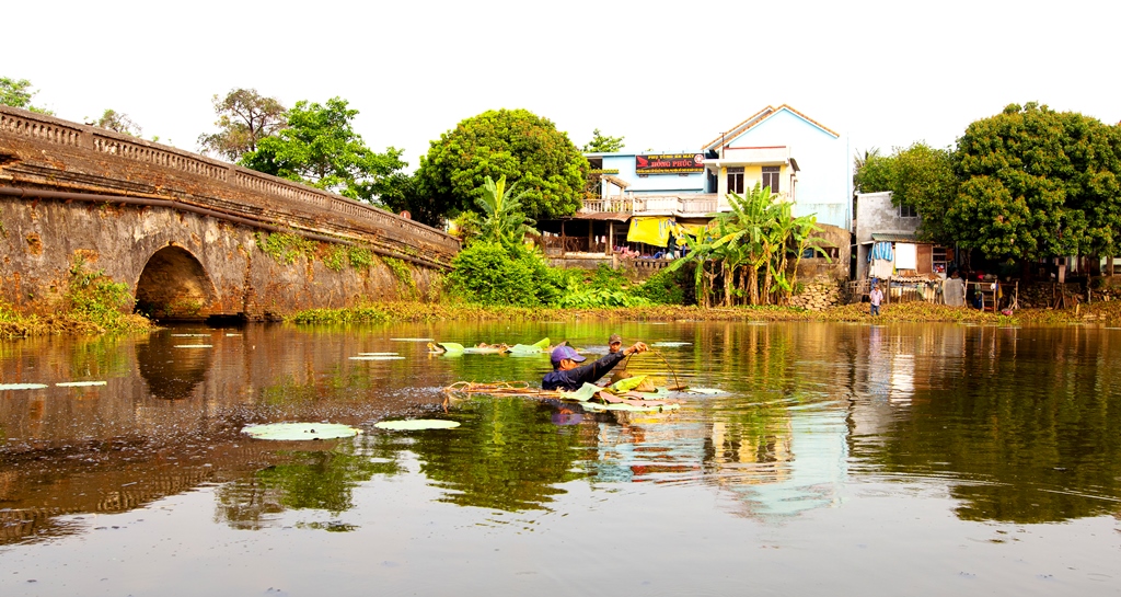 The river surface was cleaned and planted with Hue lotus